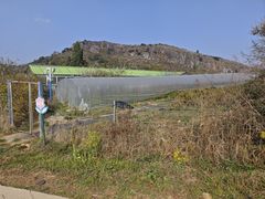 -名花谷生态庄园