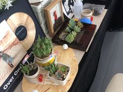 -天津波士信达奔驰4S店(卫津南路店)