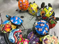 -万商花鸟市场