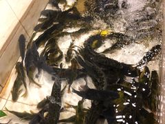 -铁锅炖灶台鱼老三炖鱼馆
