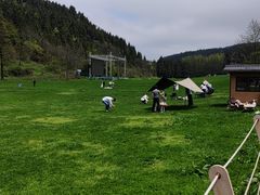 -武陵山森林公园