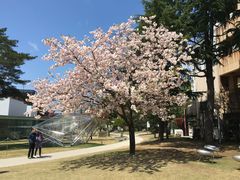 -金泽21世纪美术馆