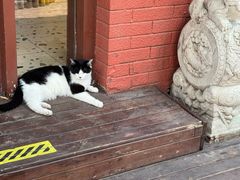 -萤火虫咖啡(后海店)