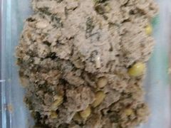 麻豆腐-烤肉宛饭庄(北新桥店)