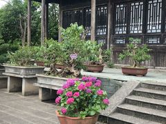 -韩湘水博园