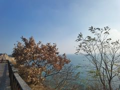 -慢丽江·云南野生菌土鸡锅(付家庄店)