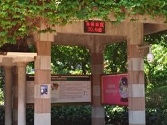 -东风公园