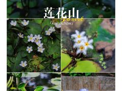 -广州莲花山旅游区