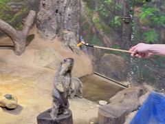 -正佳雨林生态植物园