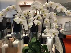 大堂-Peet's Coffee皮爷咖啡(上海长风大悦城店)