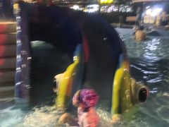-重庆海昌加勒比海水世界