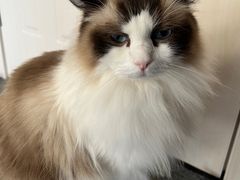 -零纪元VR体验馆·桌游(黄浦店)