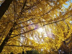 -辽宁大学(崇山校区)
