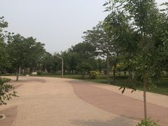 -武清南湖绿博园