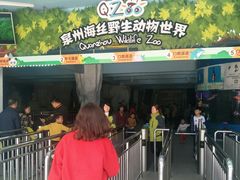 -泉州海丝野生动物世界