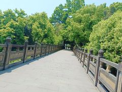 -南山植物园