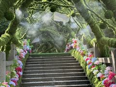 -东南花都花博园