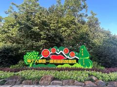 -雁南飞茶田景区