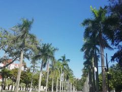 操场-厦门大学(思明校区)