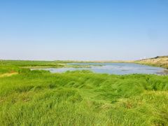 -鄱阳湖国家湿地公园
