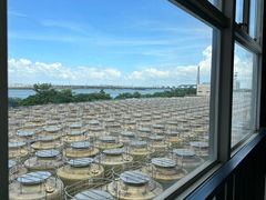 -厨邦酱油文化博览馆