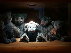 -济州岛泰迪熊博物馆