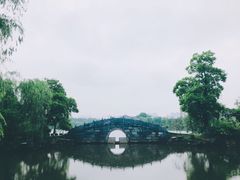 -杏花村文化旅游区