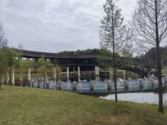 -眉山湿地公园(东坡区)
