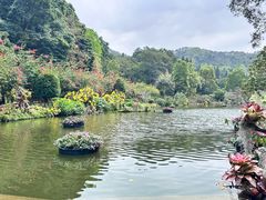 -梧桐山风景名胜区