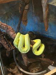 -Zoolung Zoolung动物主题公园(海信广场店)