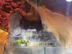 -头上红煨盐鸡·非遗院子餐厅