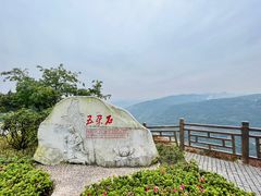 -铁山坪森林公园