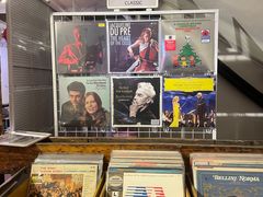 -树懒黑胶唱片店(中山路店)