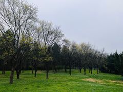 -秦始皇帝陵博物院(兵马俑)