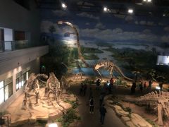 -自贡恐龙博物馆