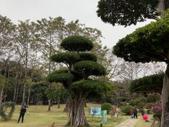 -南宁南湖公园