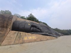 -三水森林公园