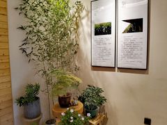 -十二舍·湯物素煮(江泰潤政店)