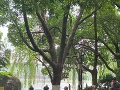 -天目湖山水园
