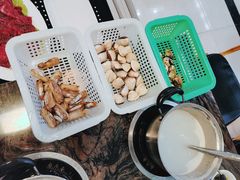 白贝一份-蚝专家