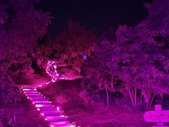 -莫子山公园