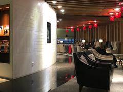 -虹桥机场国航贵宾室v8