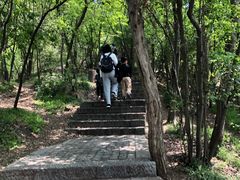-紫金山山顶公园