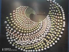 -大连自然博物馆