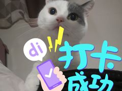 -小放牛炒菜馆(中山路乐汇城店)