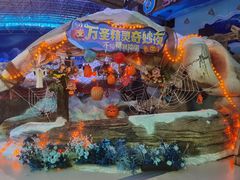 -海合安青岛极地海洋公园