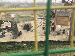 -红山体育度假乐园