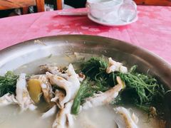 -大湾区中央湿地公园-十九涌