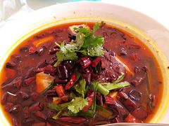 -新吉士·上海菜(浦东LCM置汇旭辉店)