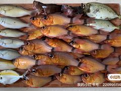 -小猫钓鱼海钓俱乐部(椰梦长廊店)